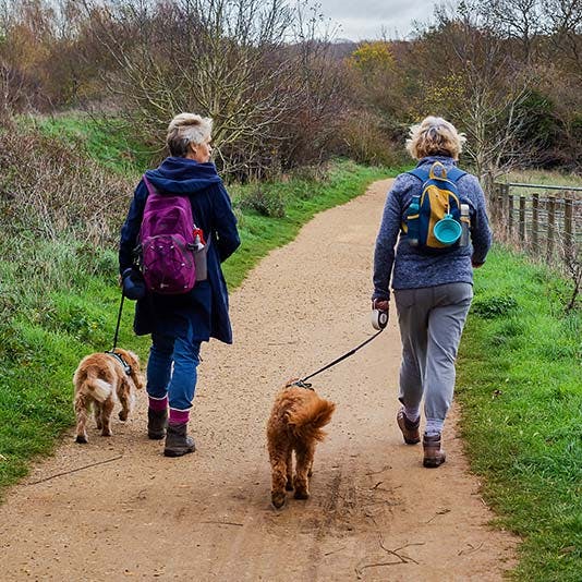 Two ladies walking the dogs in winter