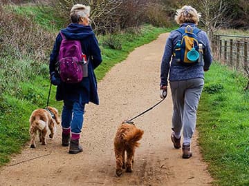 Two women walking dogs in winter