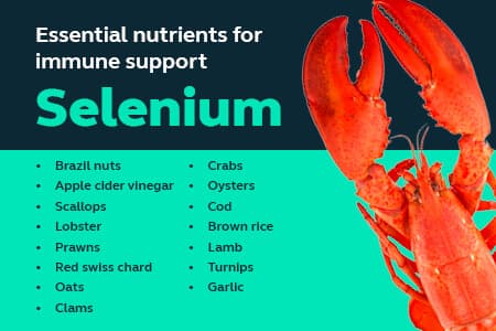 A list of foods that are high in selenium + a lobster
