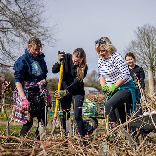 Four women gardening together, using tools to tend to plants. They are wearing casual clothes and gloves, with a wheelbarrow in the background.